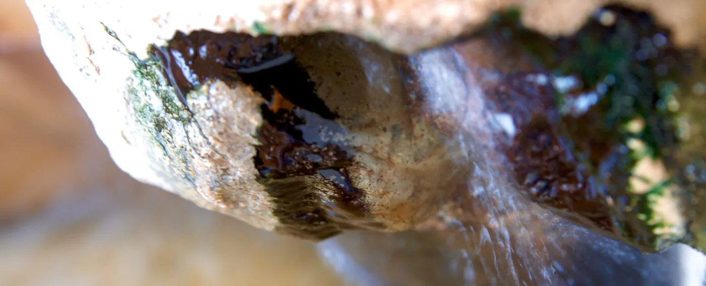 น้ำพุร้อนที่พุ่งออกมา