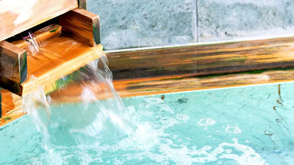 Atami Onsen Sakuraya Ryokan