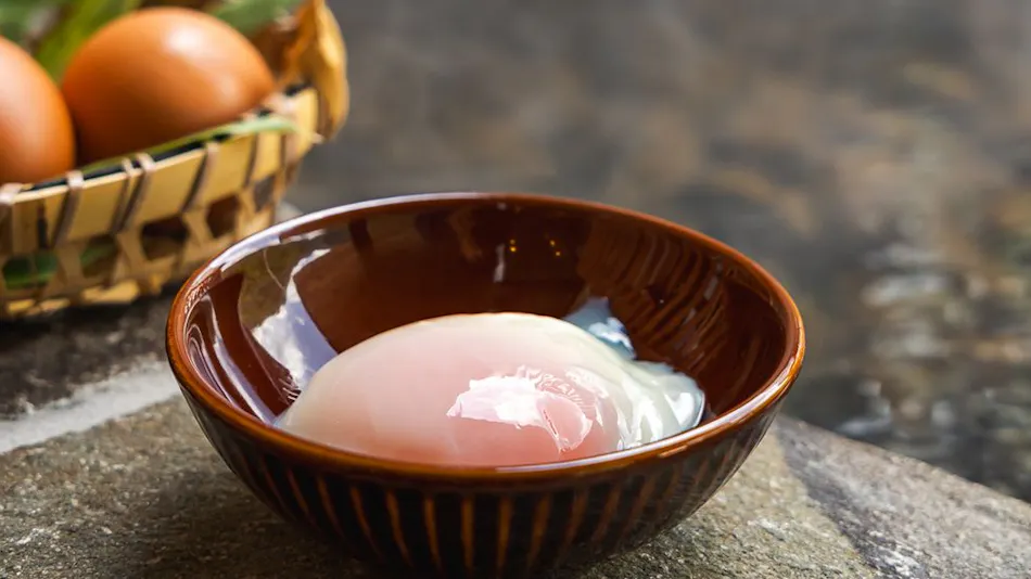 Shiobara Onsen Yashio-so