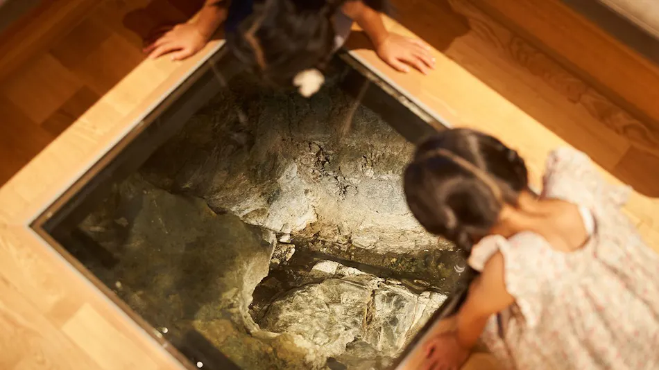 Arifuku Onsen Yoshidaya