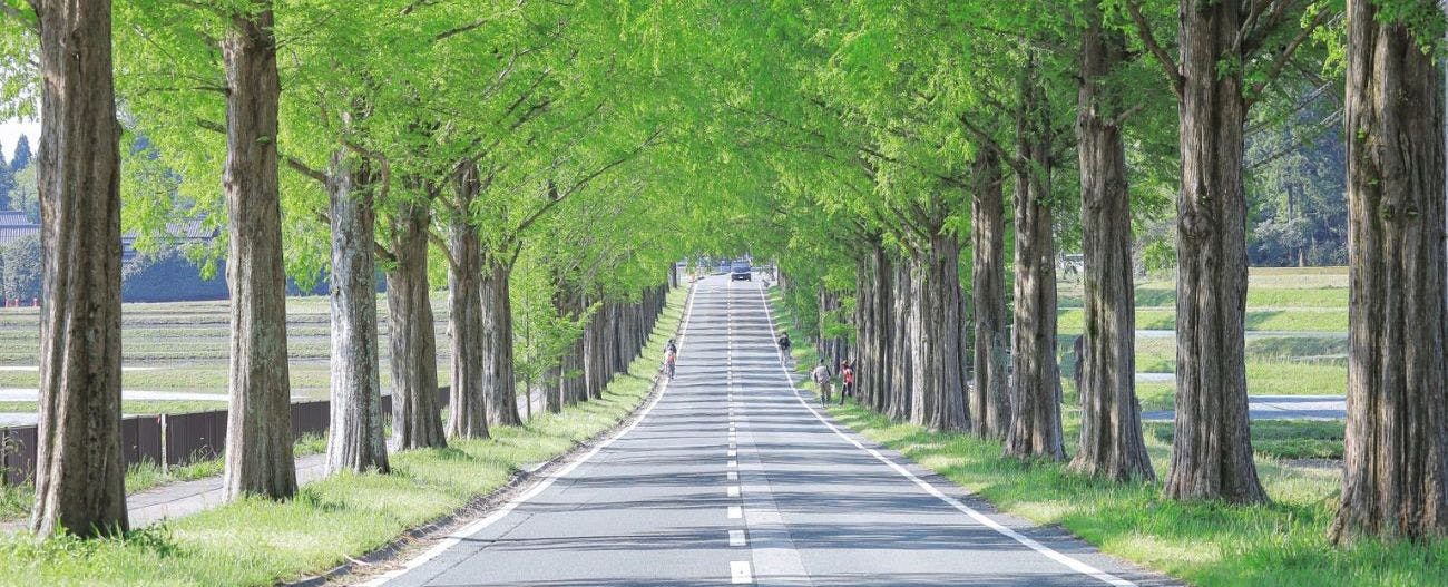 ตัวอย่างสถานที่ท่องเที่ยวใกล้เคียง