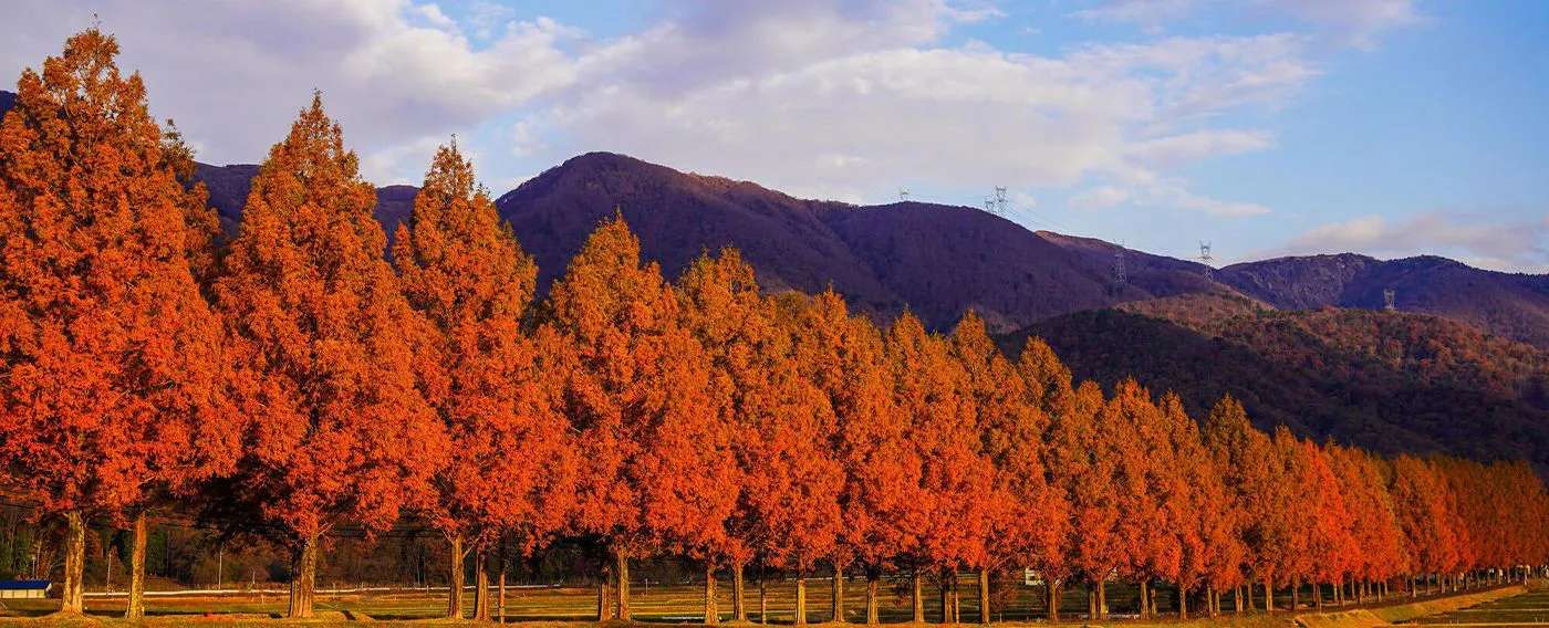ตัวอย่างสถานที่ท่องเที่ยวใกล้เคียง