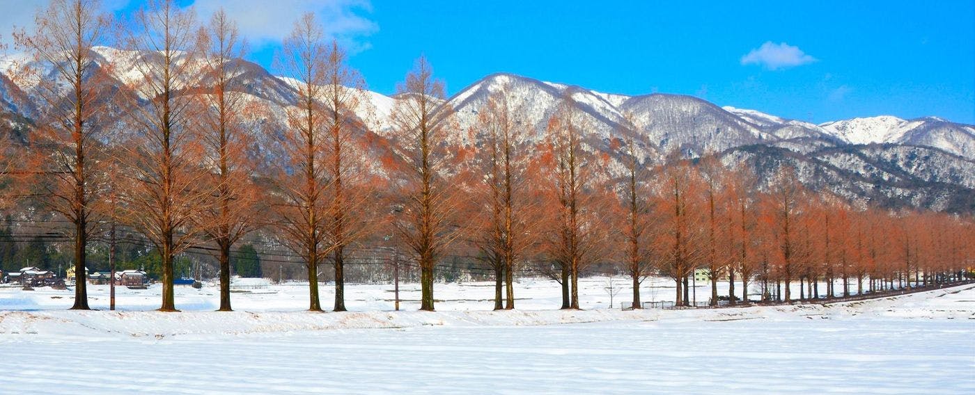 ตัวอย่างสถานที่ท่องเที่ยวใกล้เคียง