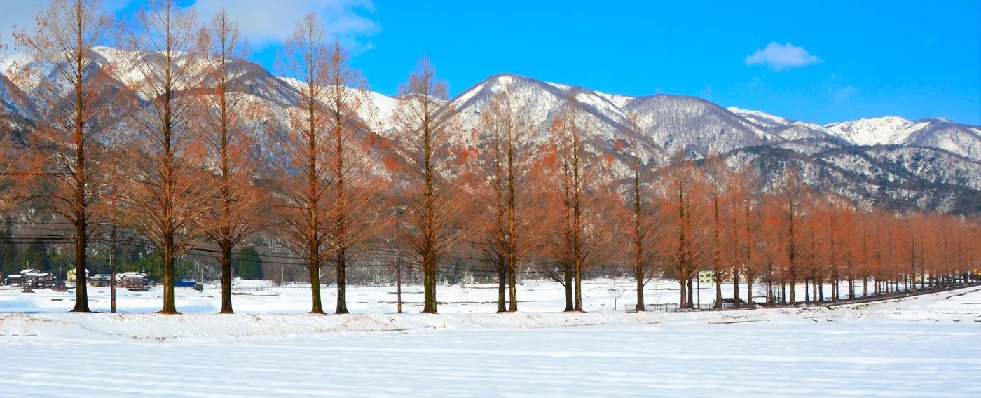 ตัวอย่างสถานที่ท่องเที่ยวใกล้เคียง