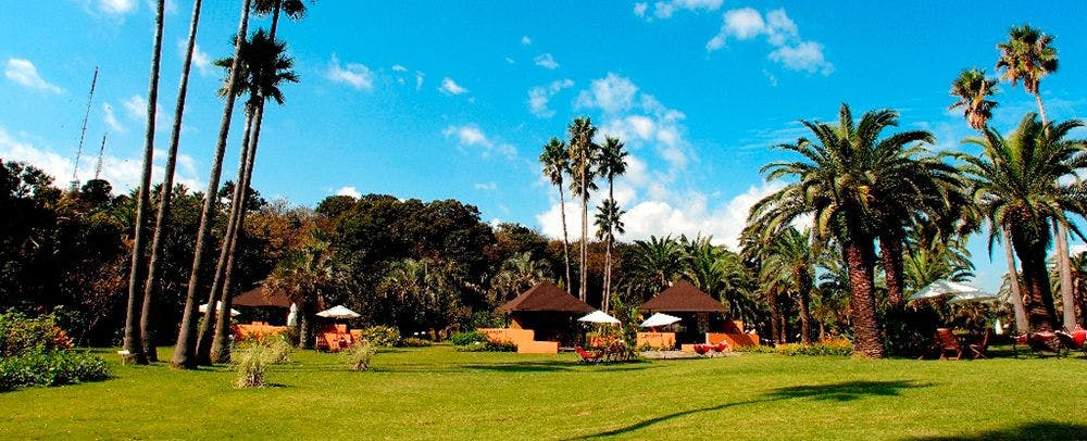 เอเชียนการ์เด้น R-Asia