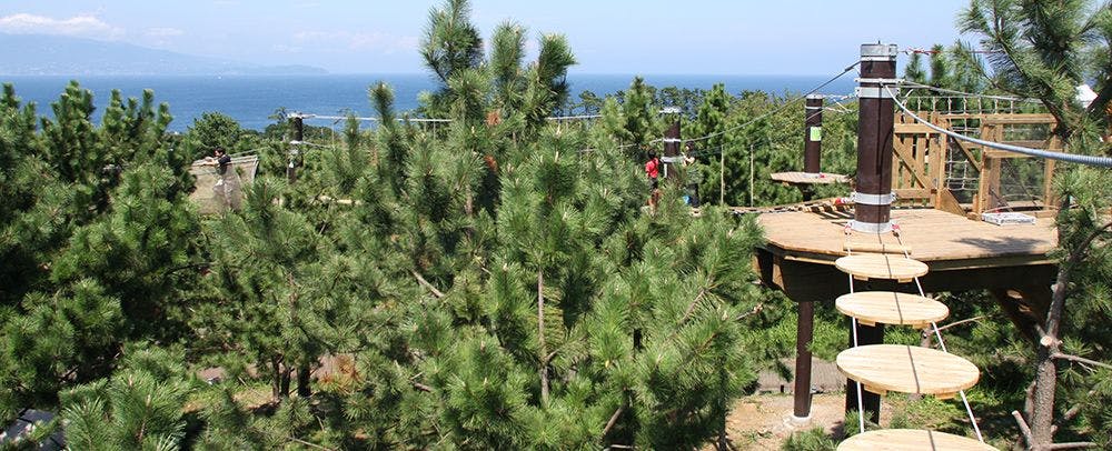 ซารุโทบิ ผจญภัยฮัตสึชิมะ