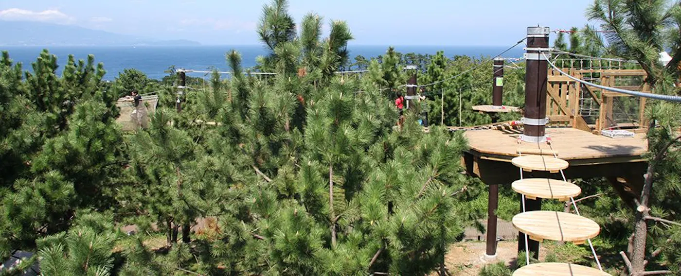 ซารุโทบิ ผจญภัยฮัตสึชิมะ