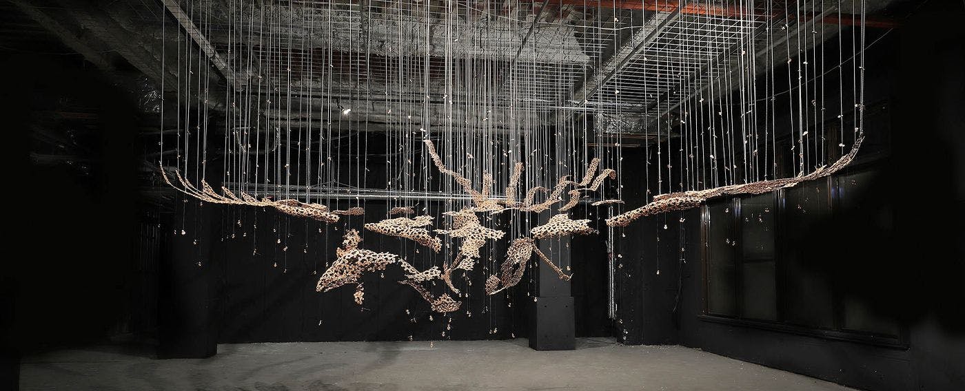 SHIN โทจิ แกลเลอรี่