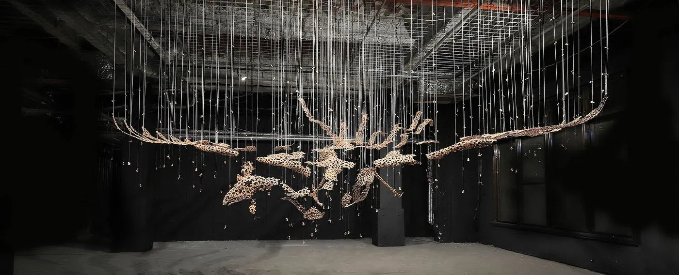 SHIN โทจิ แกลเลอรี่