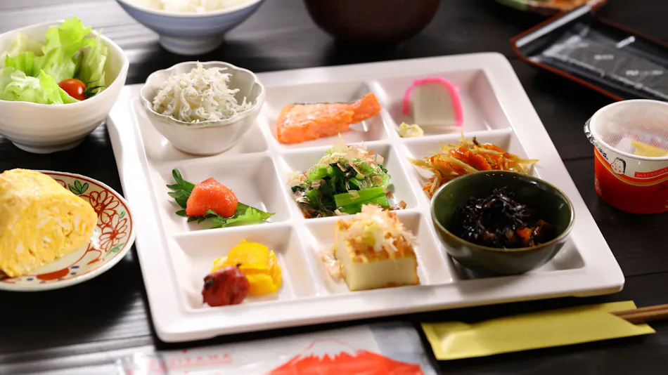 Shoji Mount Hotel
