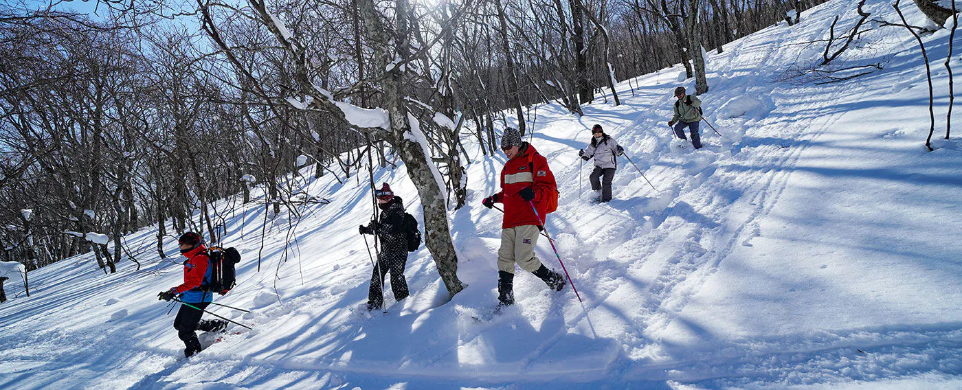 ブナの森観察探検コースを専任インストラクターがご案内するスノーシュー