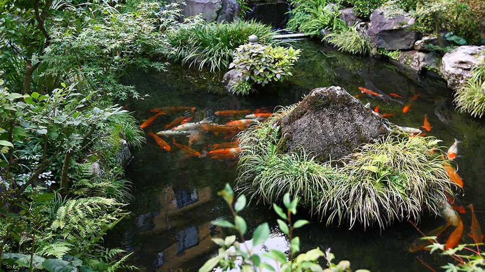 Arima Onsen Kinzan