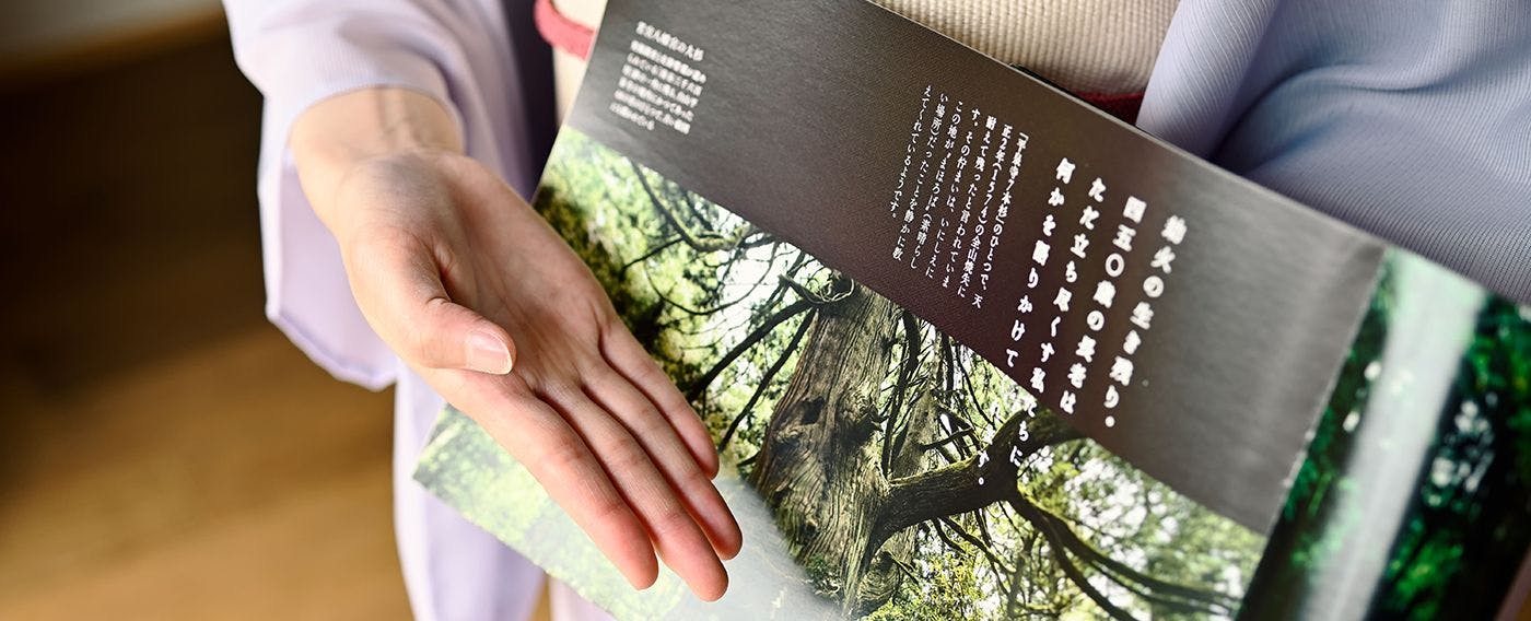 福井与芦原的魅力之一例