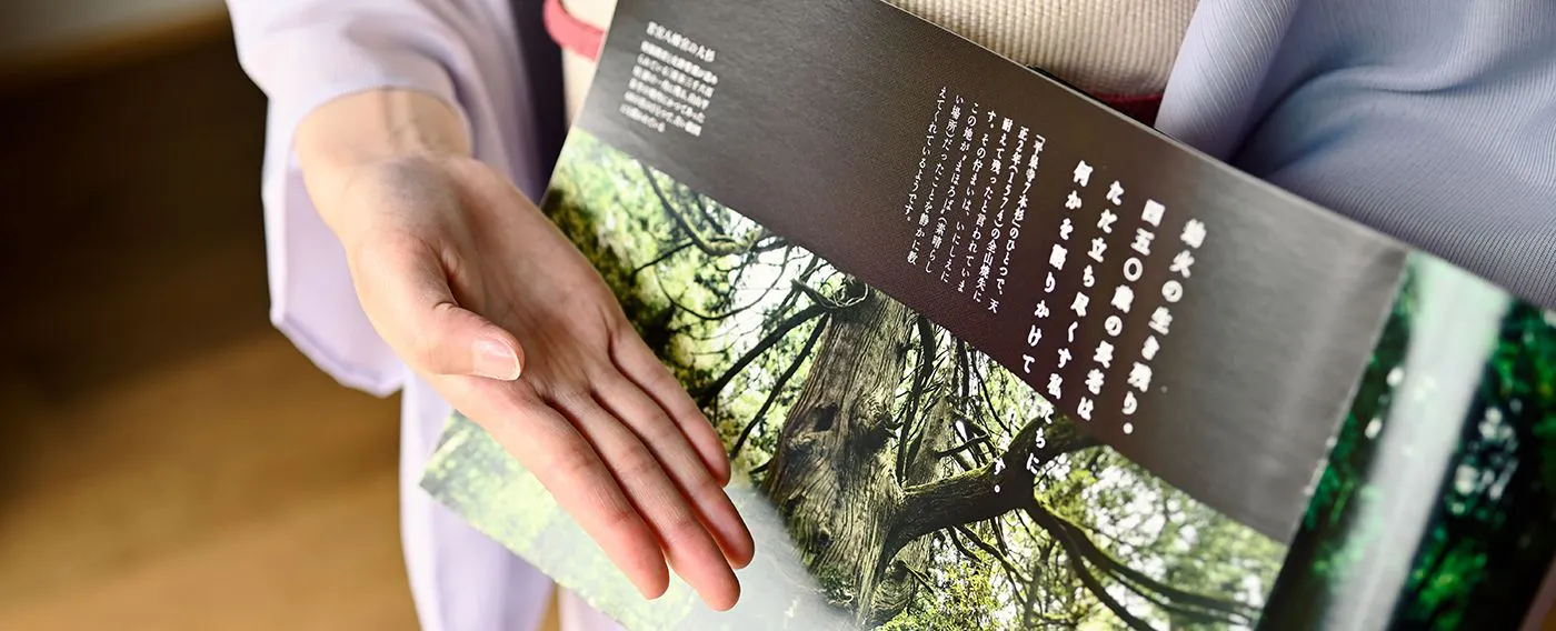 福井与芦原的魅力之一例