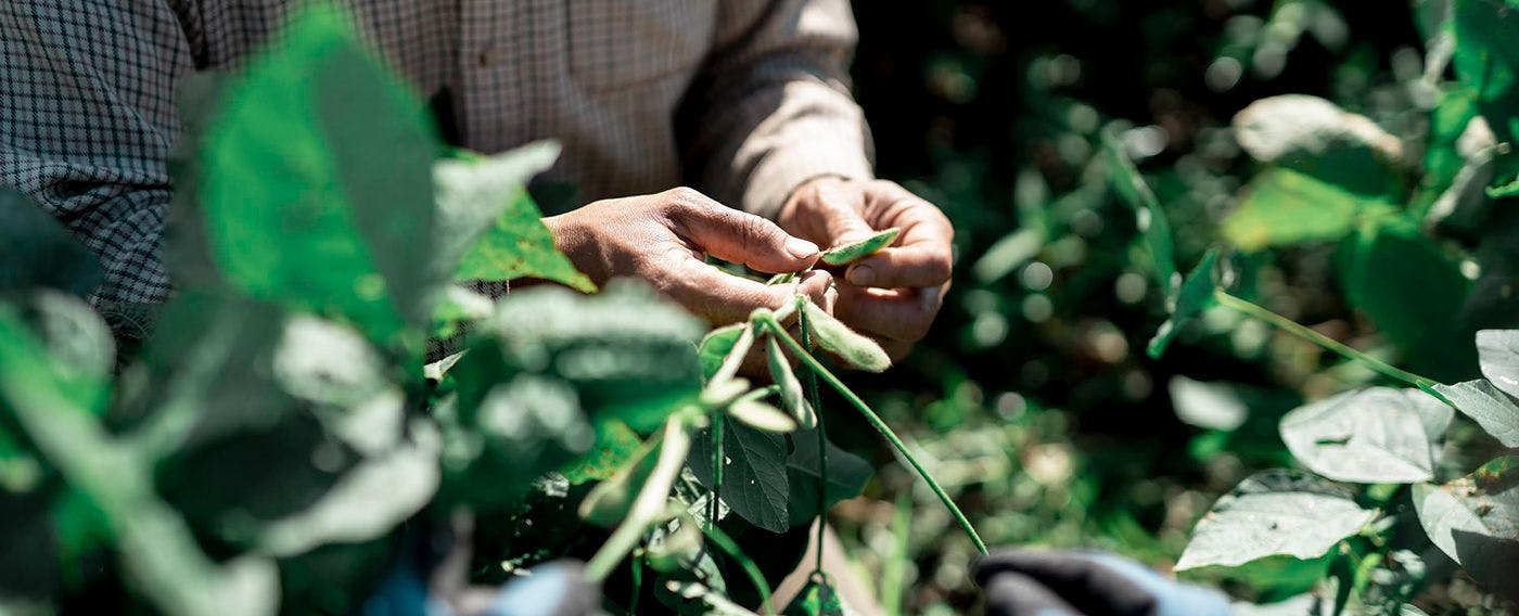 福井与芦原的魅力之一例