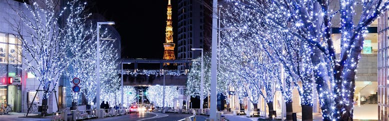 六本木 ホテル 宿泊予約は 一休 Com