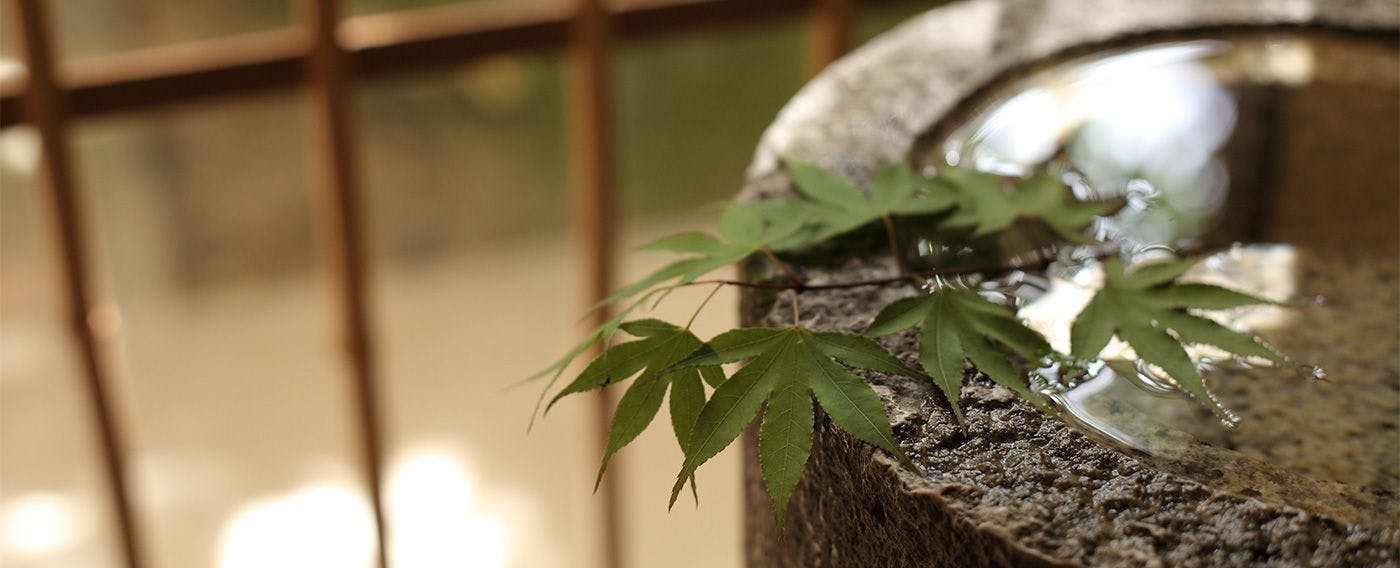 わずか14室の客室