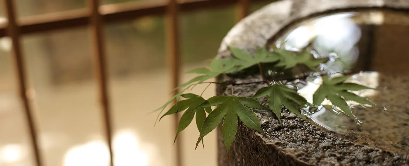 わずか14室の客室