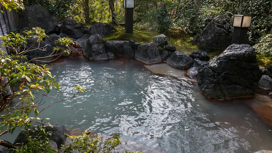 UNZEN HANZUIRYO