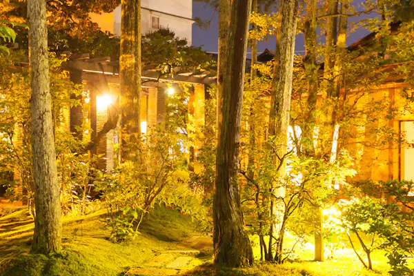 ไฟประดับ