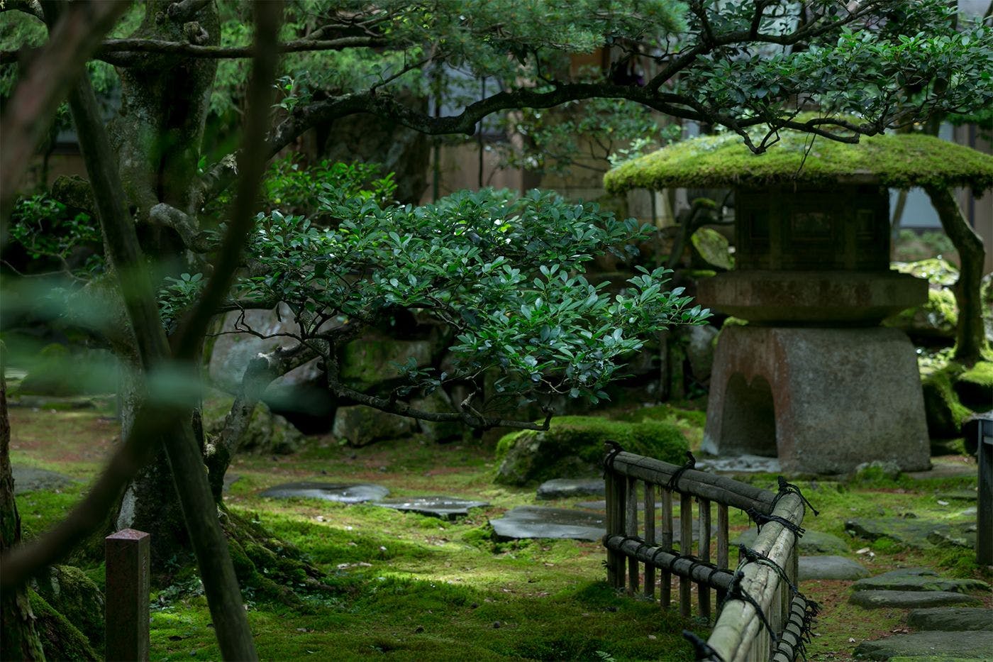 สวน