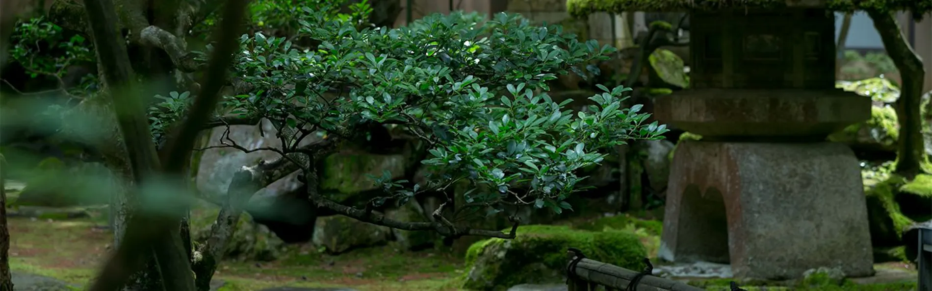 北陸最古の宿 法師