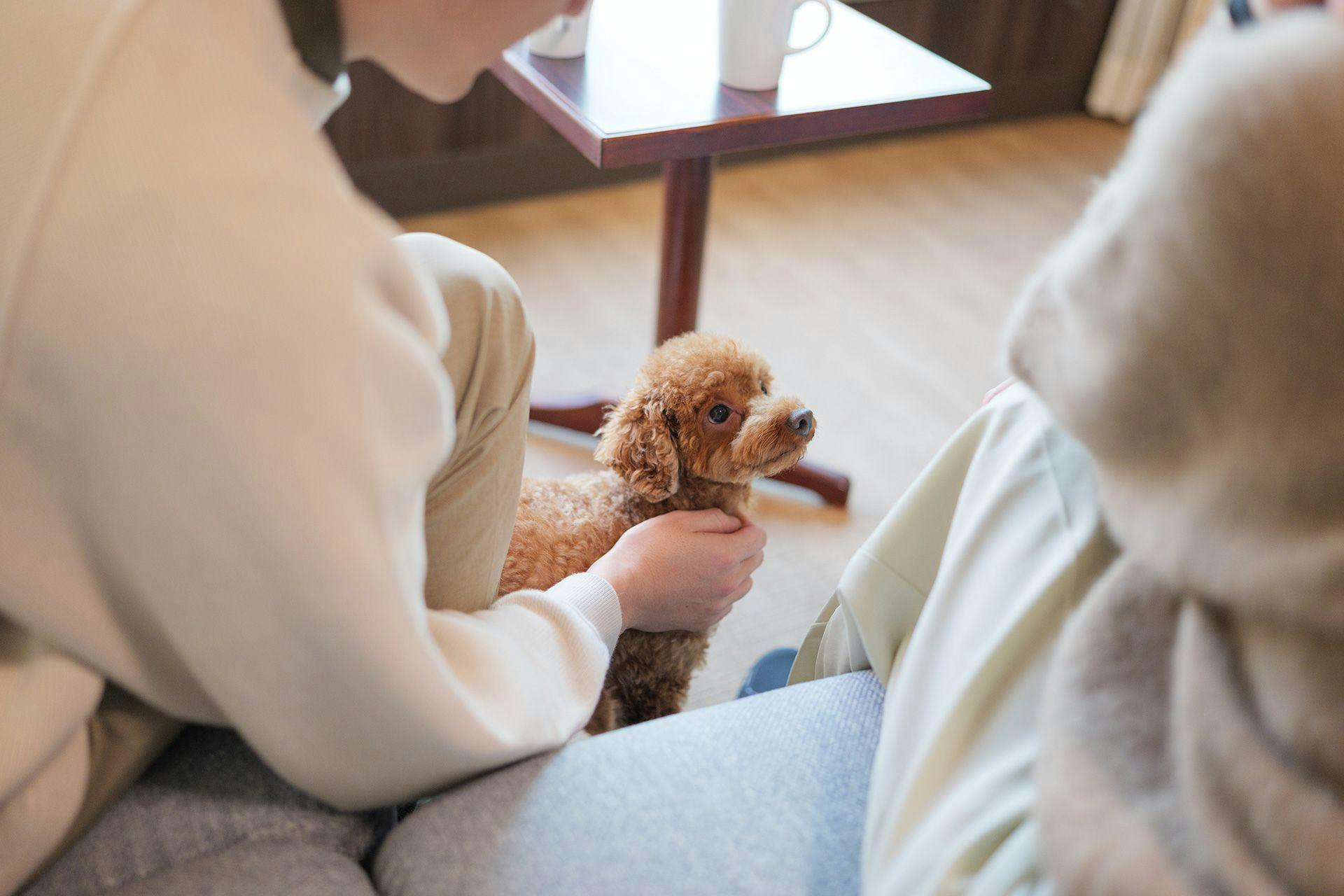 嬬恋プリンスホテル