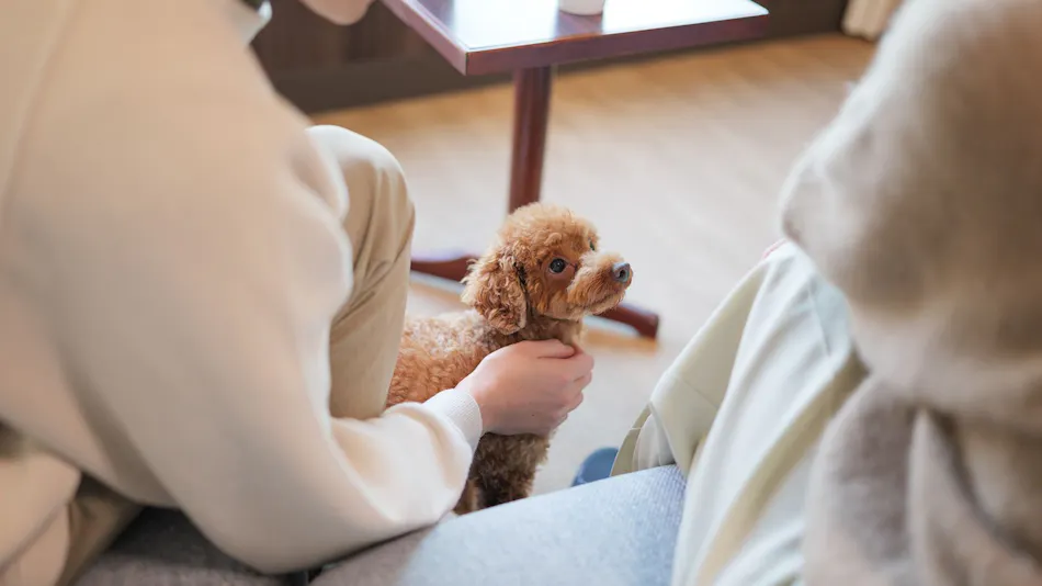 Tsumagoi Prince Hotel