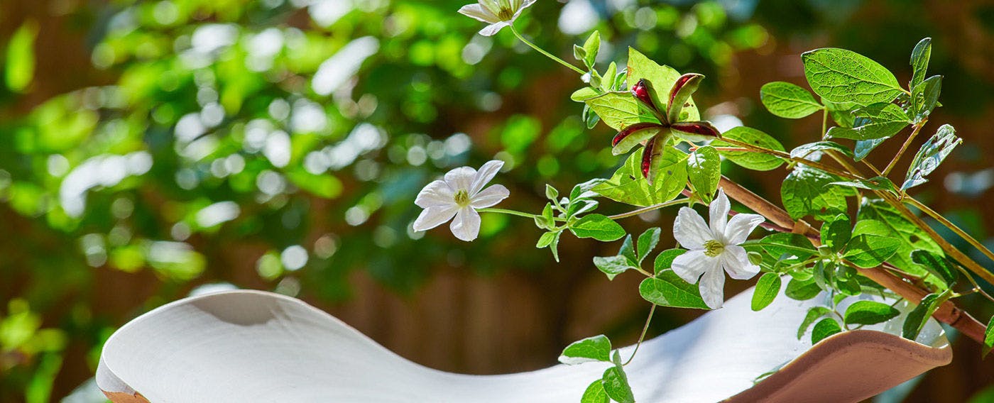 高山荘華野