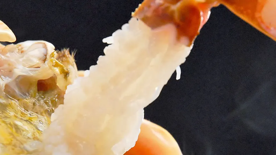 Misasa Yakushi no Yu Mansuirou