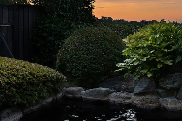 น้ำพุร้อนตัวอย่างหนึ่ง