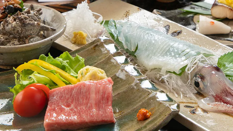 Mizuno Ryokan