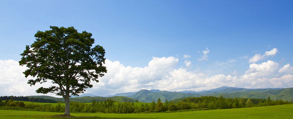 Kiyosato-Kogen Hotel