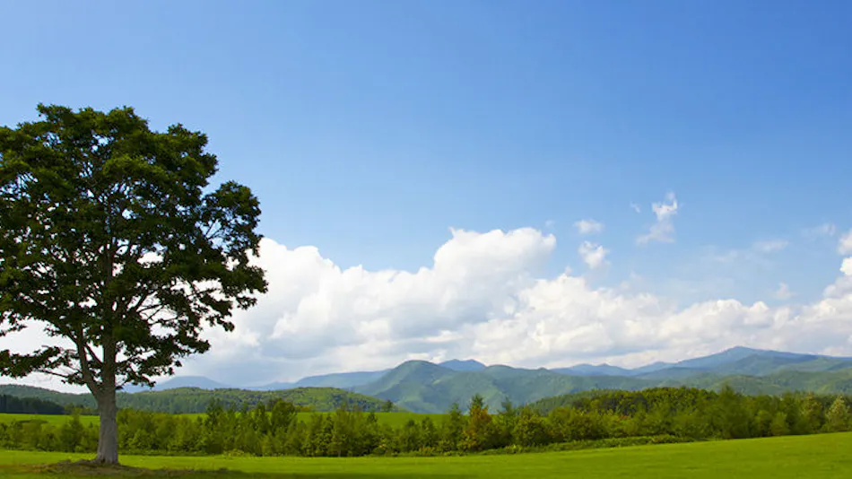 Kiyosato-Kogen Hotel