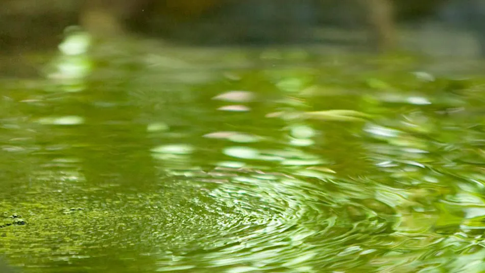 Yufuin Onsen Yufuin Tsukitoan