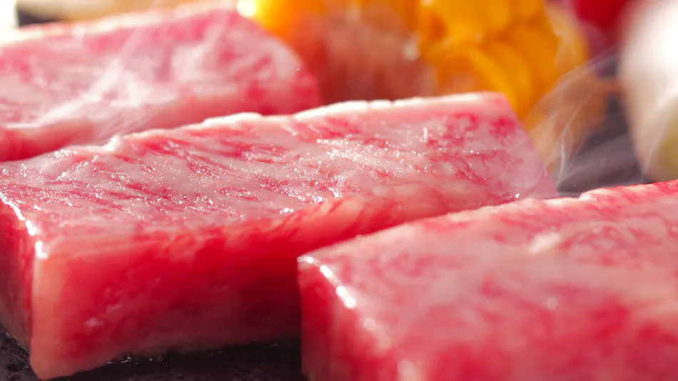 Hanaougi Bettei Iiyama