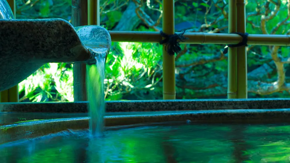 Hanaougi Bettei Iiyama