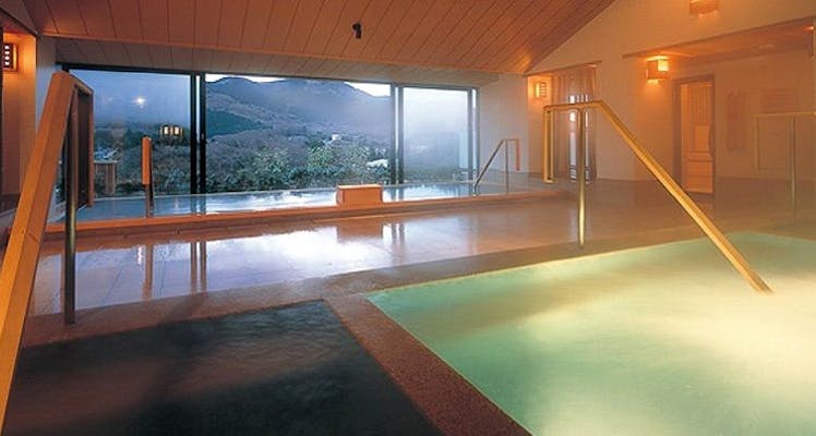 プール無料付 箱根のネット可 Wi Fi のお部屋 温泉ありの おすすめホテル 旅館 宿泊予約は 一休 Com