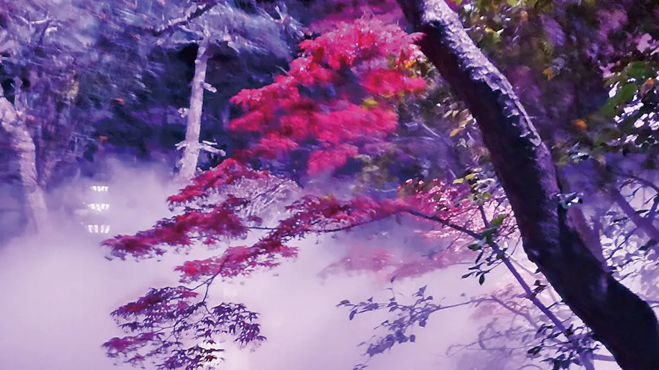 Izumo Tamatsukuri Onsen Shiraishiya