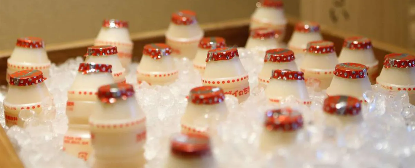 Lactic Acid Bacteria Drink