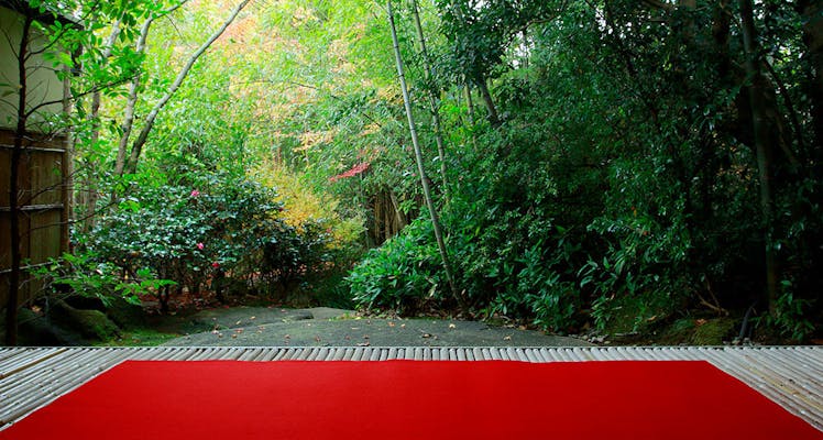 ランキング Top5 修善寺温泉の源泉かけ流しありの ホテル 旅館 宿泊予約は 一休 Com ランキング Top5 修善寺温泉の源泉かけ流しありの ホテル 旅館 宿泊予約は 一休 Com