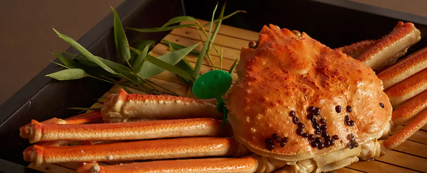 【 晚餐・冬季 】 請享用被譽為夢幻逸品的間人蟹等,近海捕撈、附有標籤的活體松葉蟹。