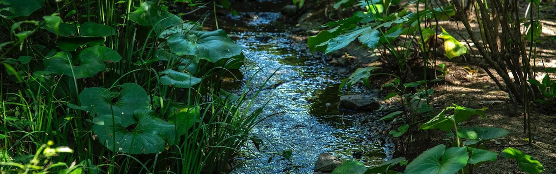 もう一つの京都 雨情草庵