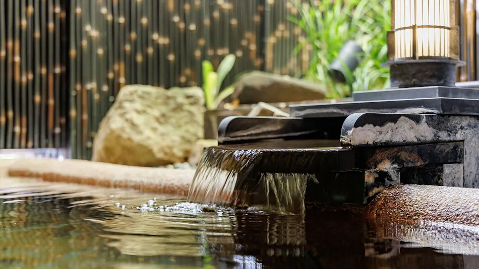 Oiwakeya Ryokan