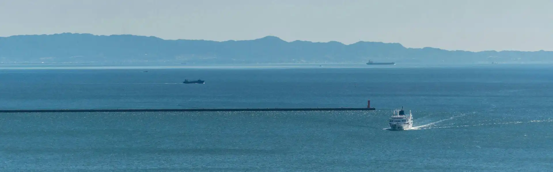 海
