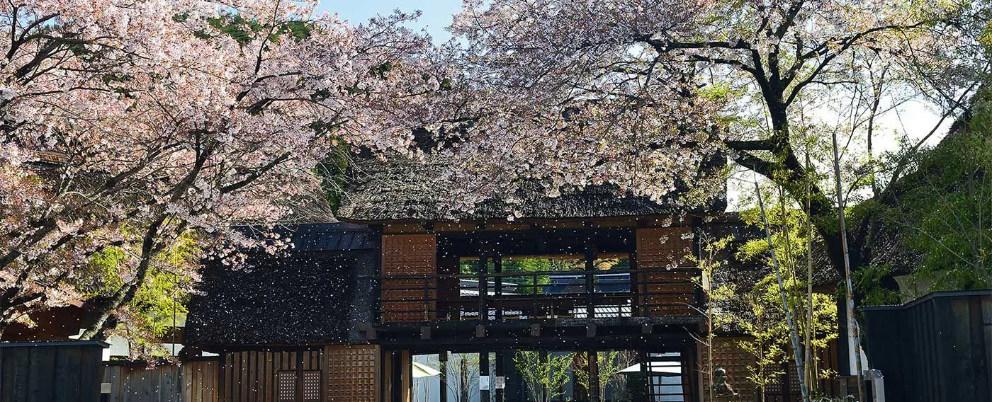 桜吹雪の長屋門
