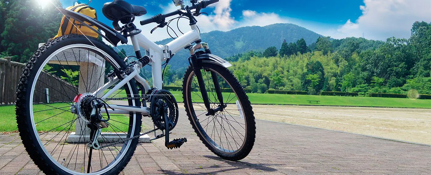 Tobe Ware Pottery Experience