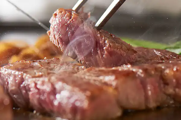 ภูเขาไฟฟูจิ