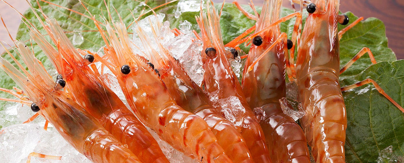 Kokoro Resort Umi no Bettei Furukawa