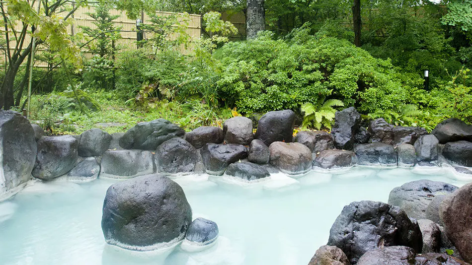 Okunikko Forest Hotel